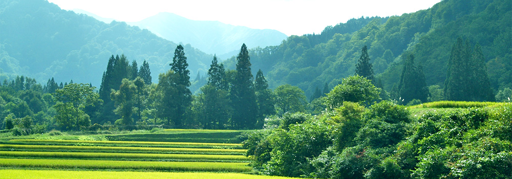 田舎すだち